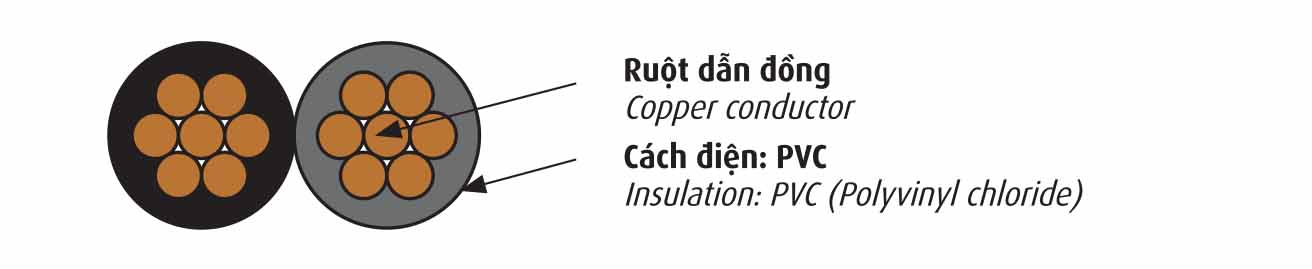 CADIVI_Multiplex_CA_12pp_print-1