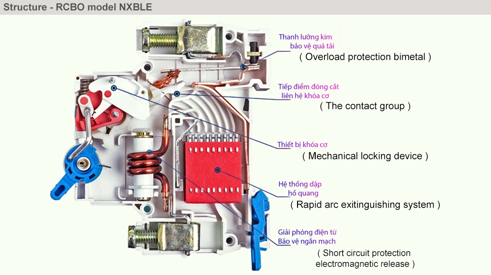 Cấu tạo CHINT NXBLE-32 1P+N C6