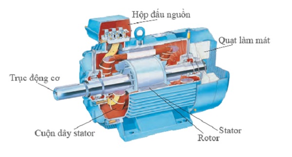 Cấu tạo của motor là gì?